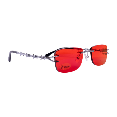 BARBED WIRE FRAMES